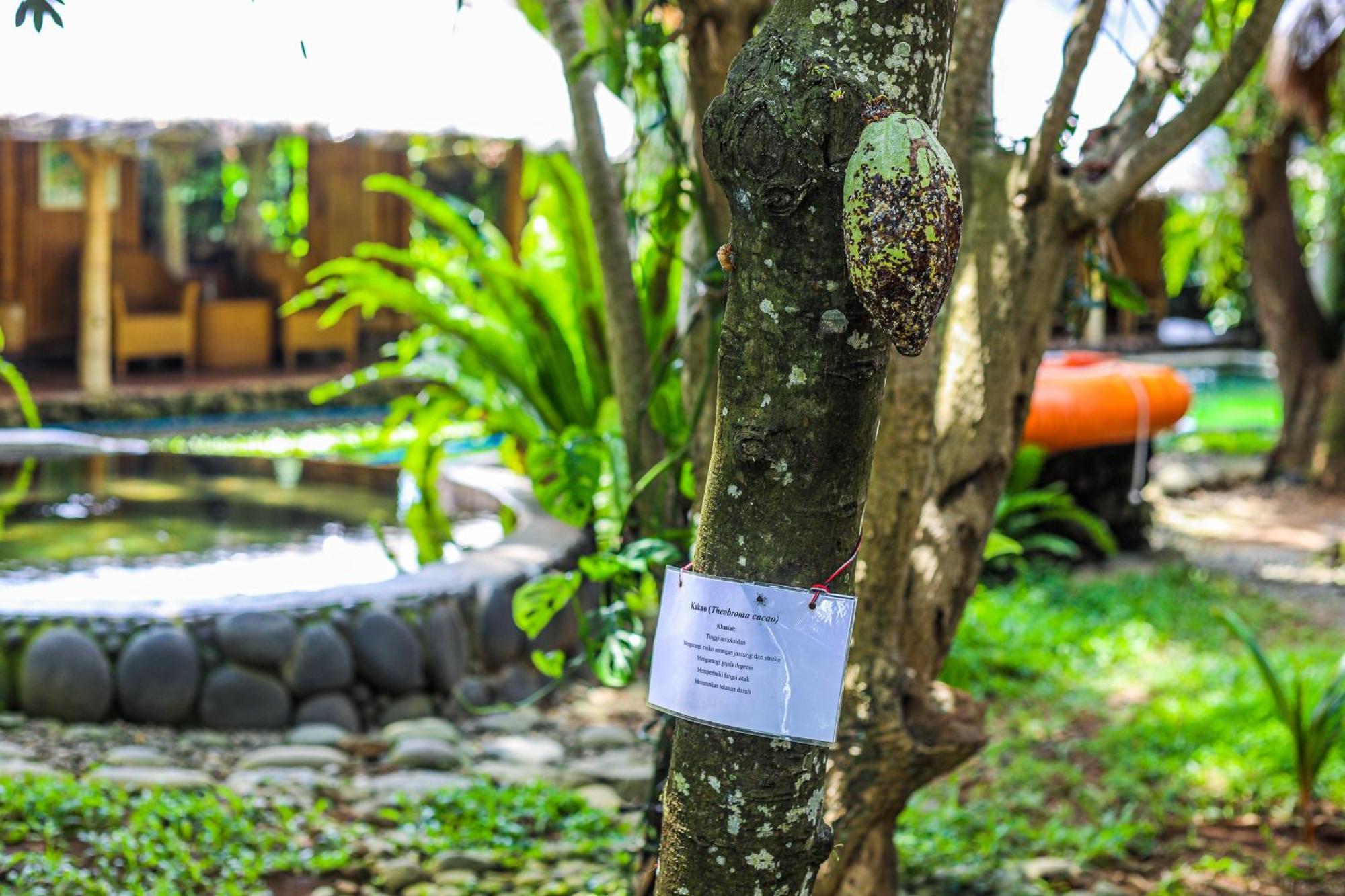 Omunity Bali Hotel Singaraja Exterior foto