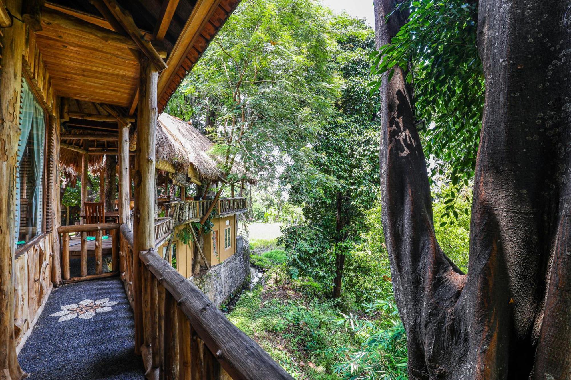 Omunity Bali Hotel Singaraja Exterior foto