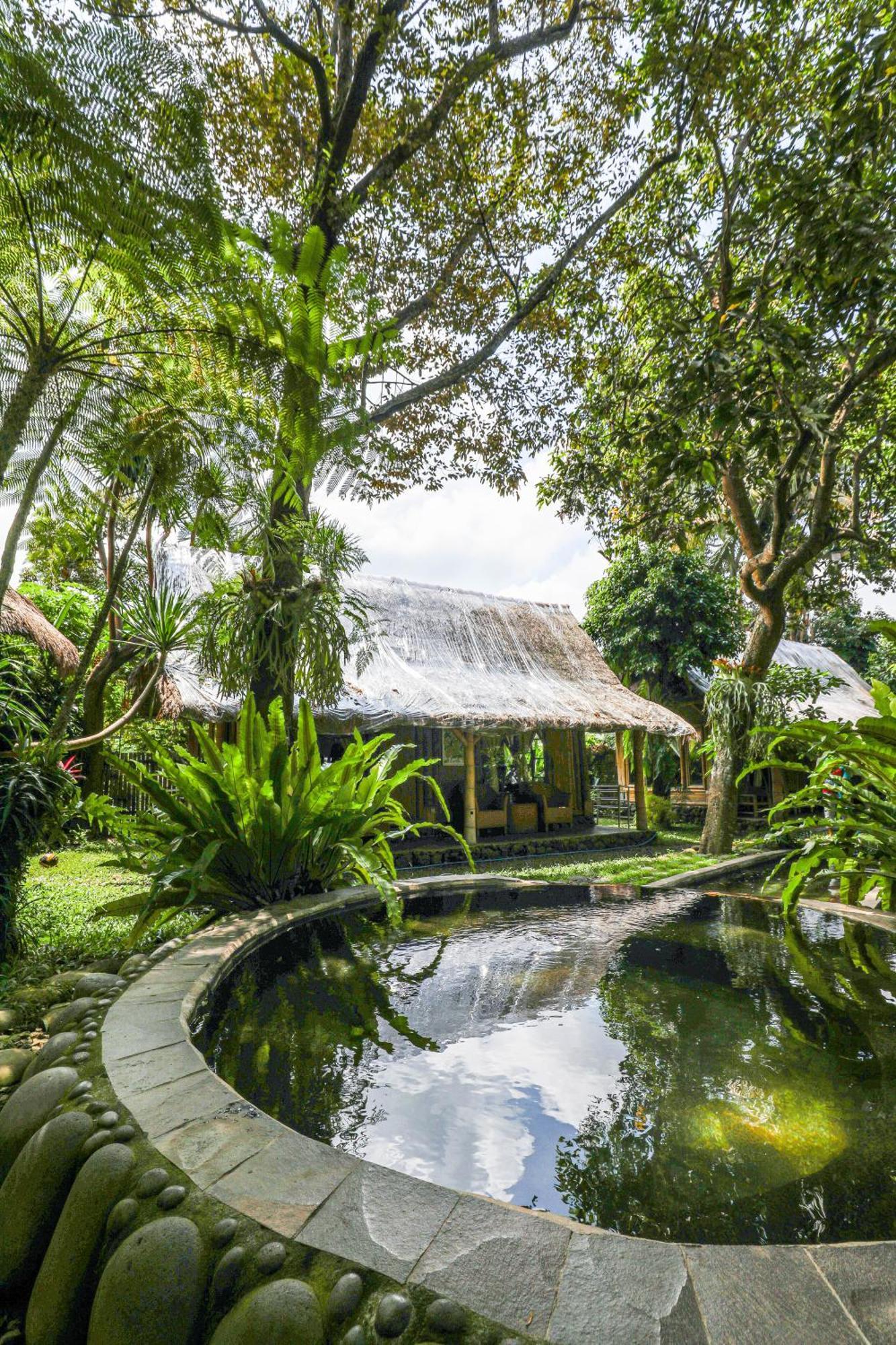Omunity Bali Hotel Singaraja Exterior foto